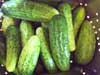 Fresh Pickling Cucumbers (Cukes)