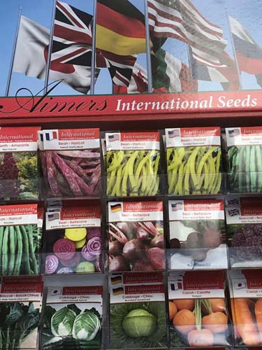 International Garden Seeds